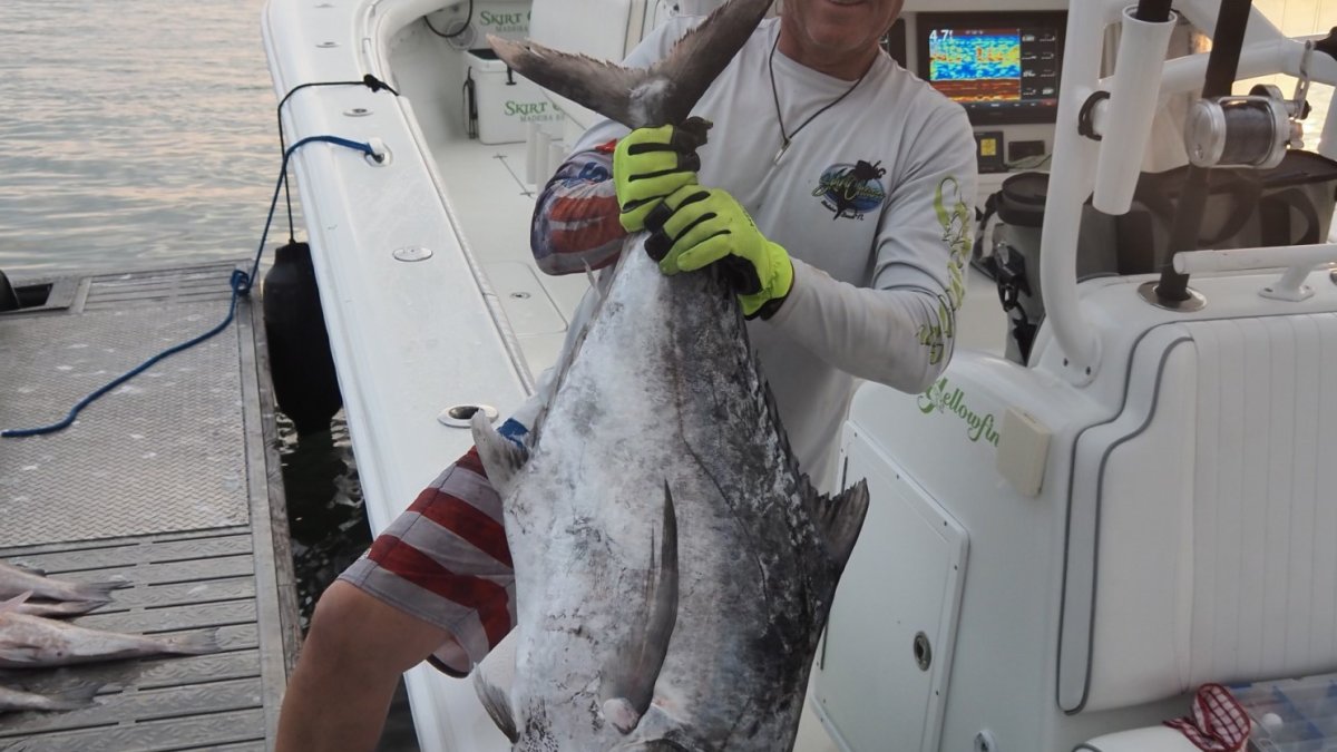 Caught Fish