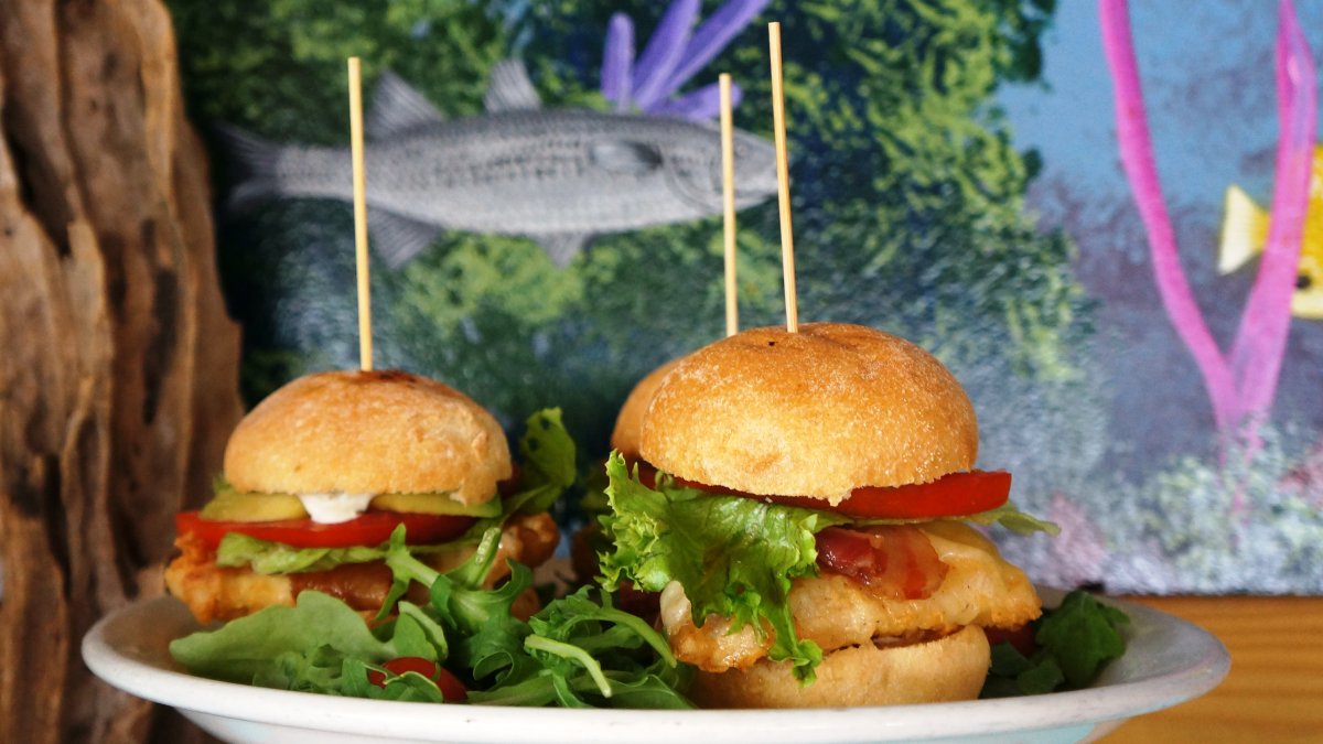 Dunedin Food Tour Visit St Petersburg Clearwater Florida