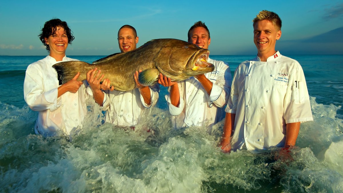 Group of chefs holding a large fish in the water