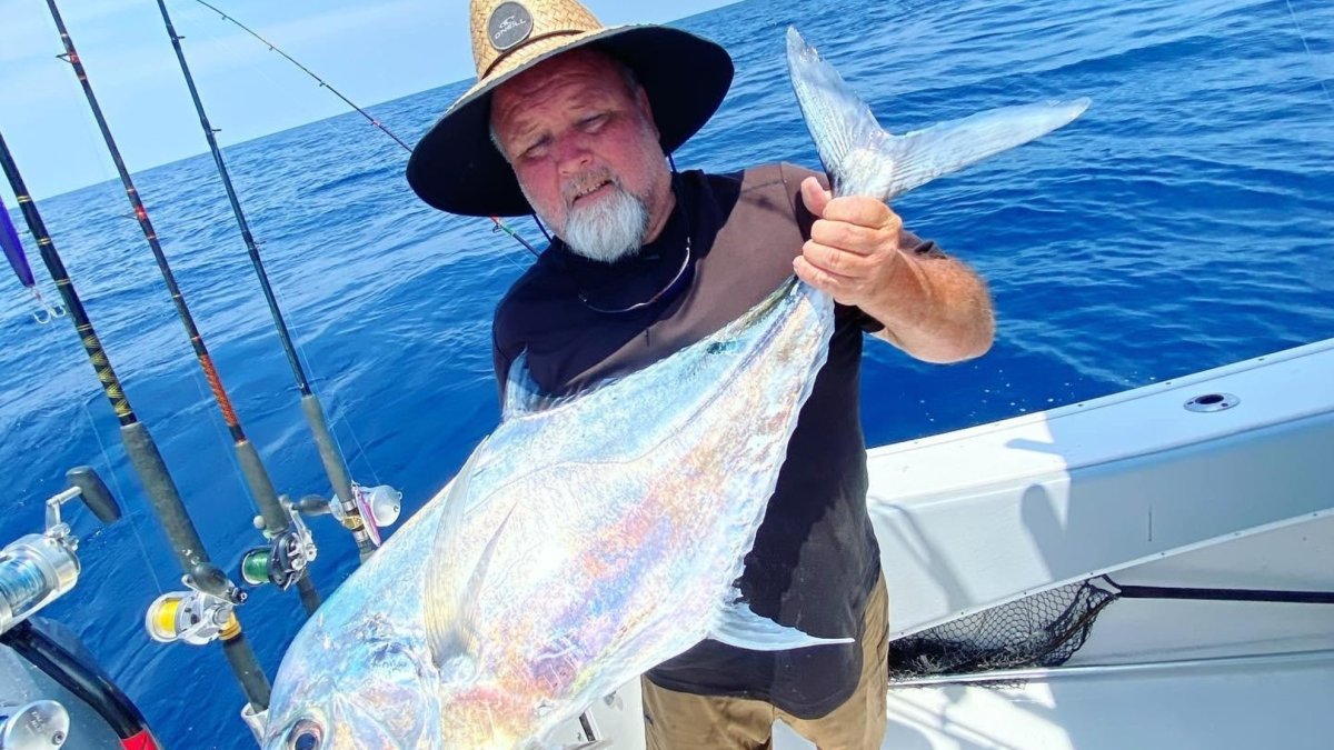 One Fish