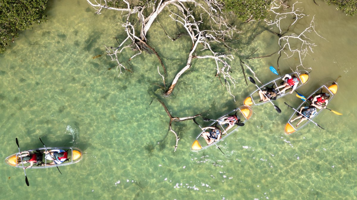 Sea Glass Kayaking - aerial
