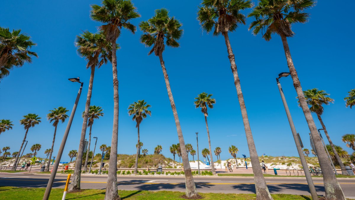 Amplify Clearwater 3