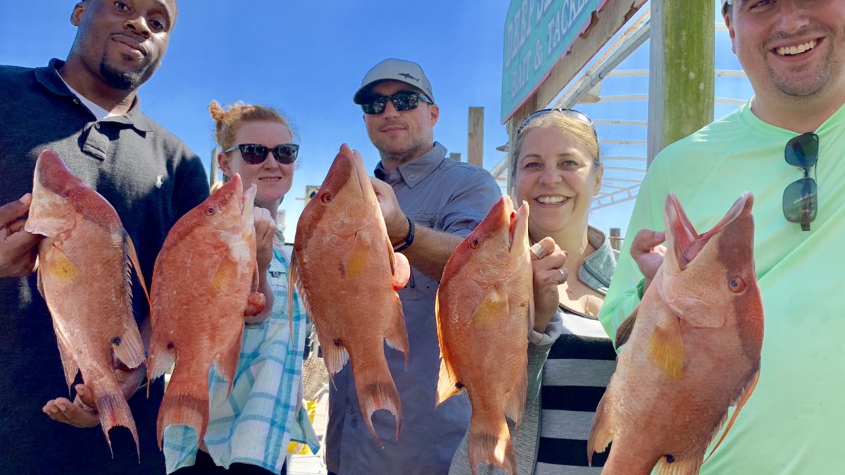 10 Hour All Day Fishing Charter Hubbard's Marina John's, 49% OFF