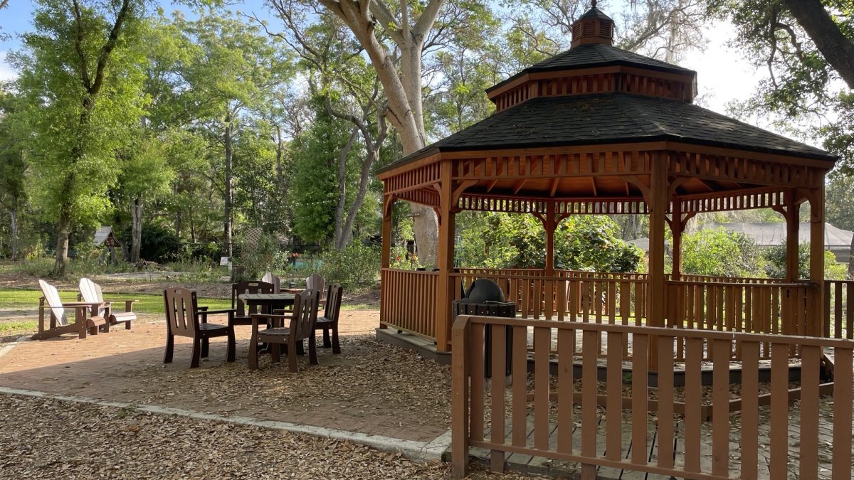 Folly Farms Nature Preserve Visit St Petersburg Clearwater Florida