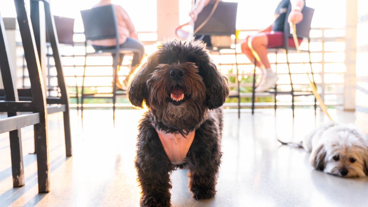 3 Daughters Clearwater Beach 3