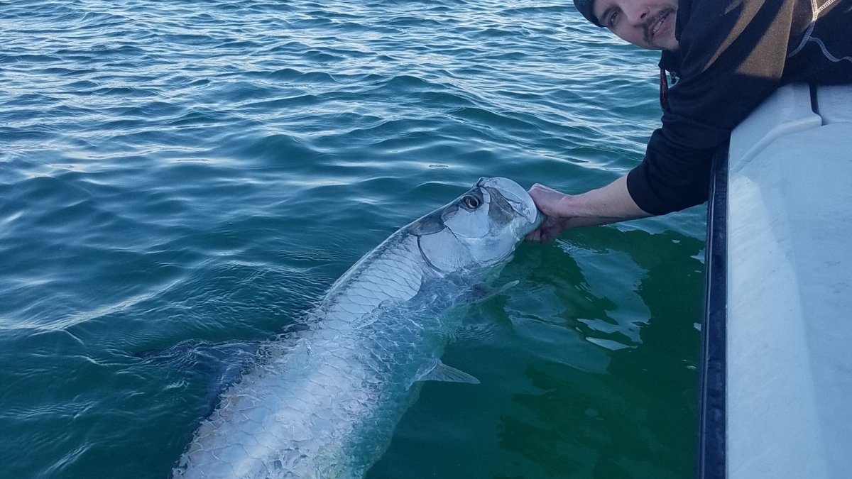 Inbound Fish 2