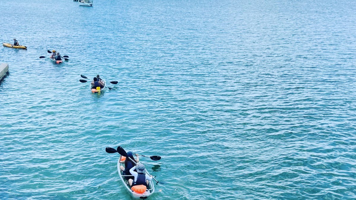 Sea Glass Kayaking - group