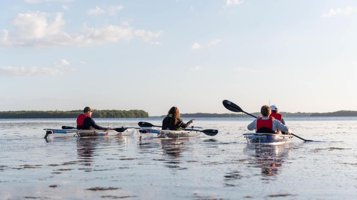 Get Up & Go kayakers