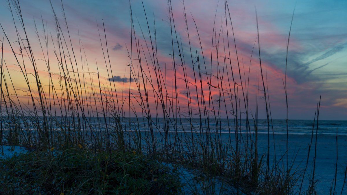 Surfside Cabanas