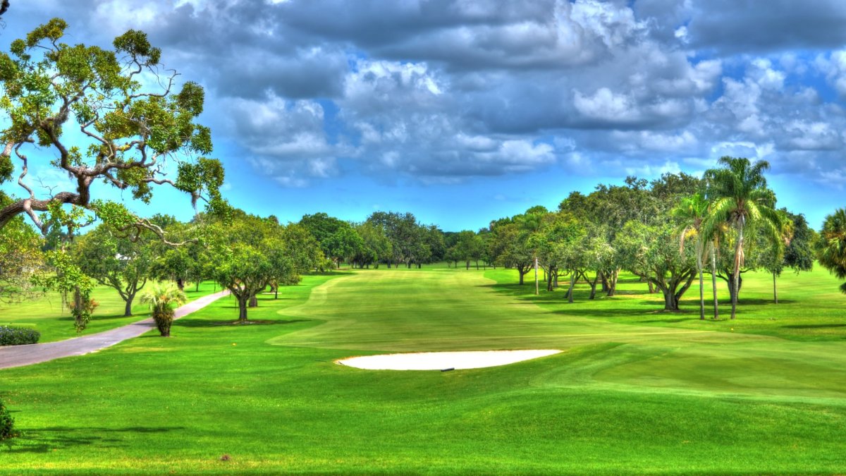 Dunedin Golf Club