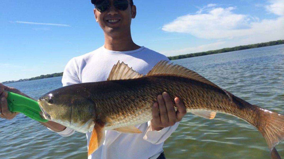 Pocket Change Inshore Fishing Charters Visit St Petersburg Clearwater