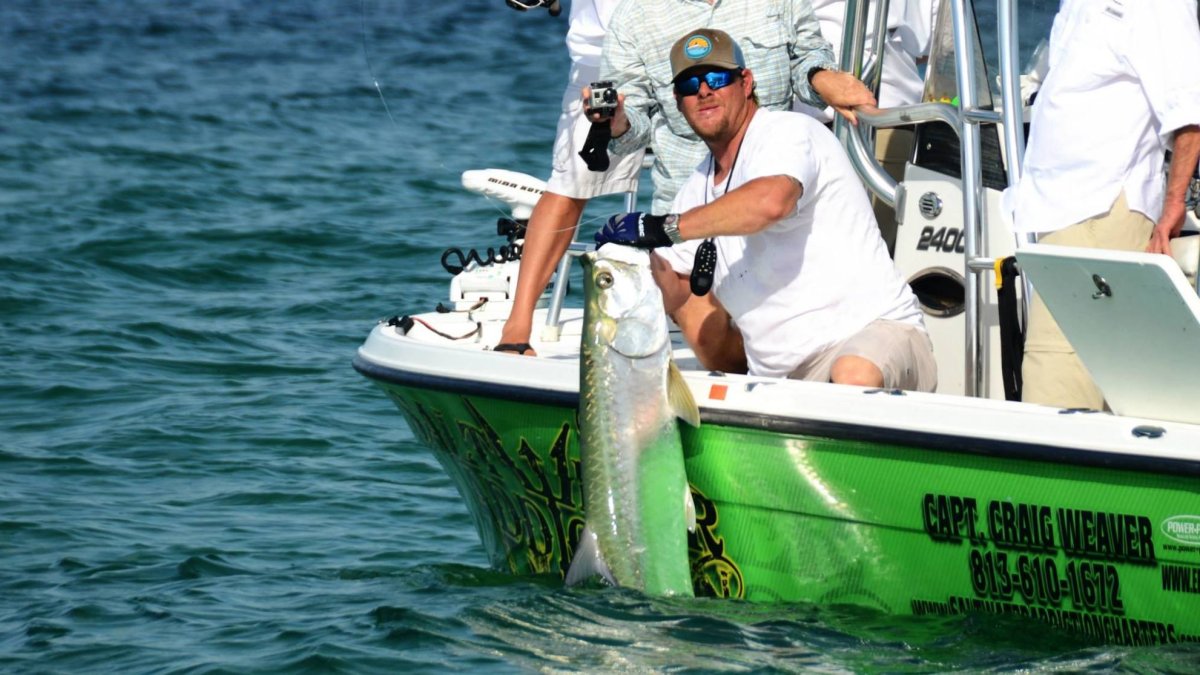 Saltwater Addiction Charters