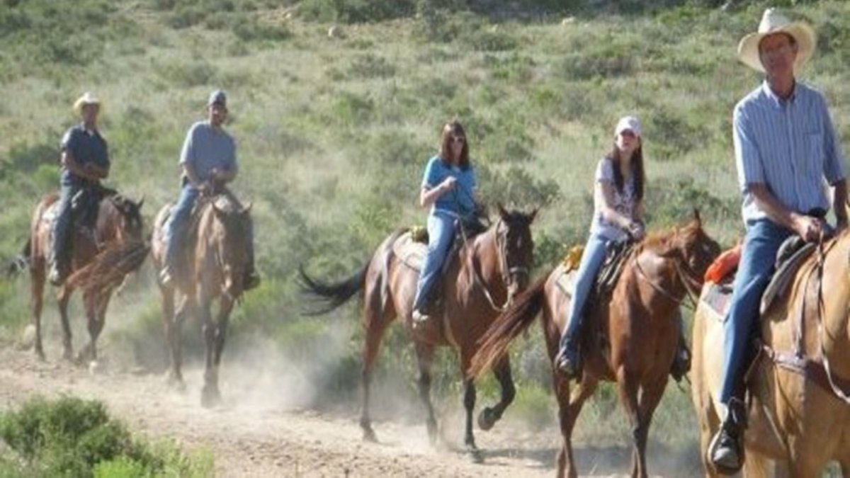 Trail Riding
