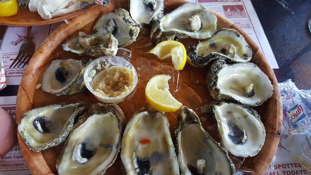 Casual Clam