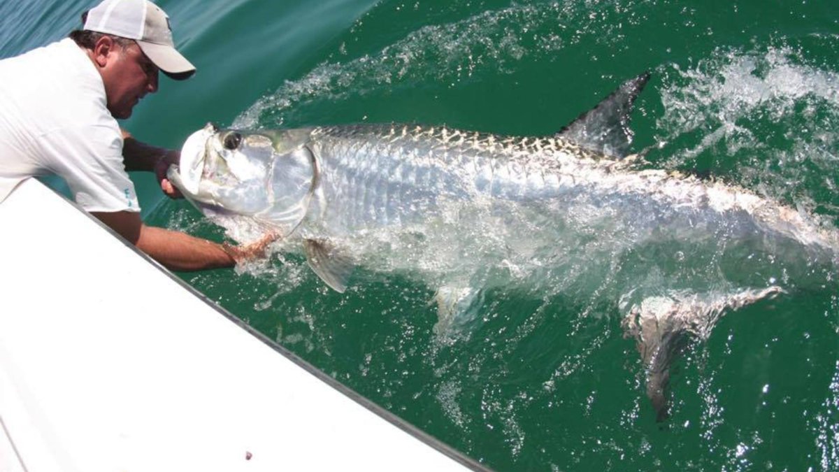 Captain Bret Gamrot Charters