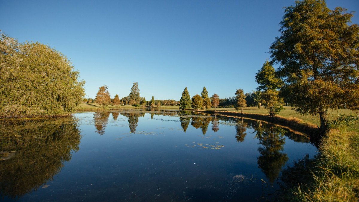 Mangrove Bay Golf Course