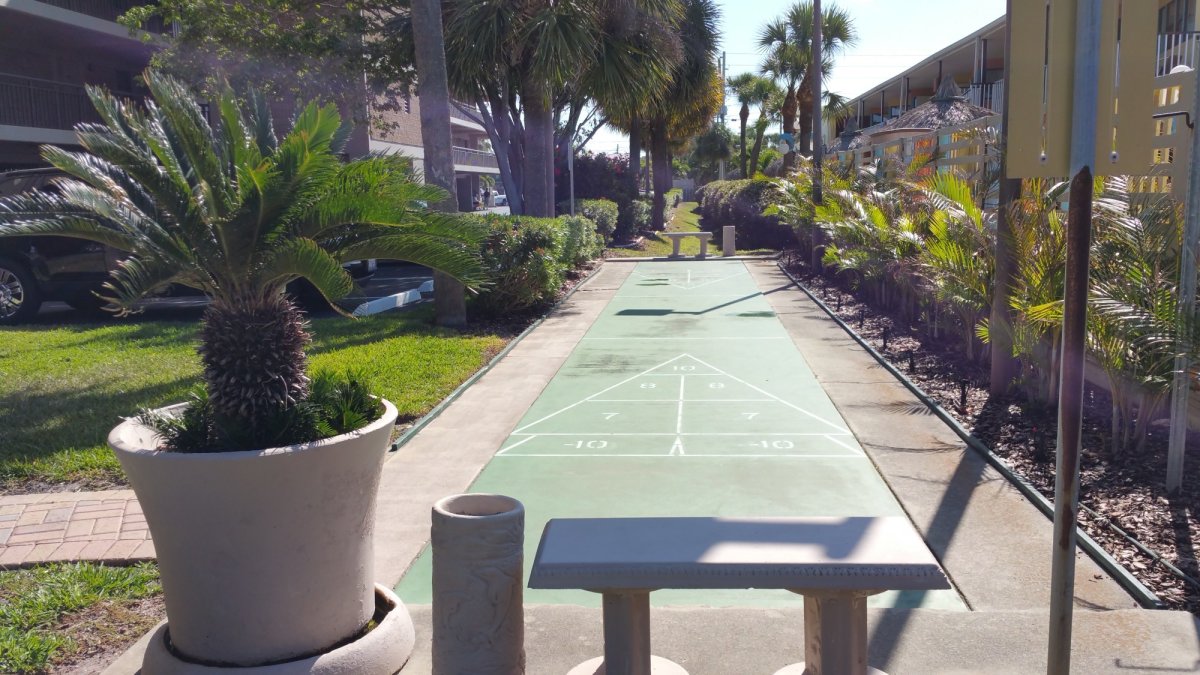 Shuffleboard