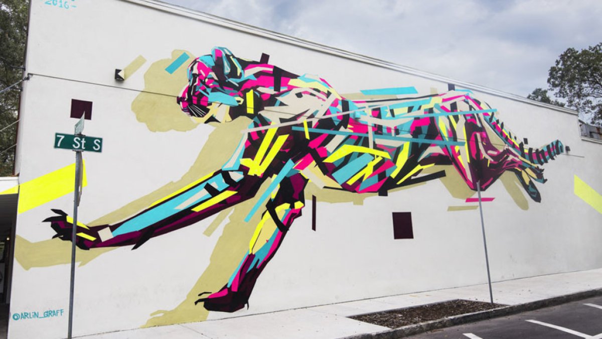Cheetah by Arlin Graff