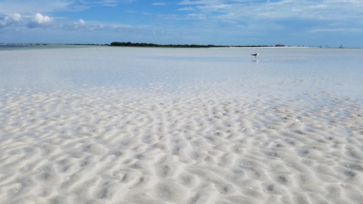 Walk on secluded barrier islands!