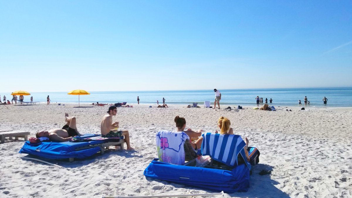 beach in front of Gulf Strand Resort