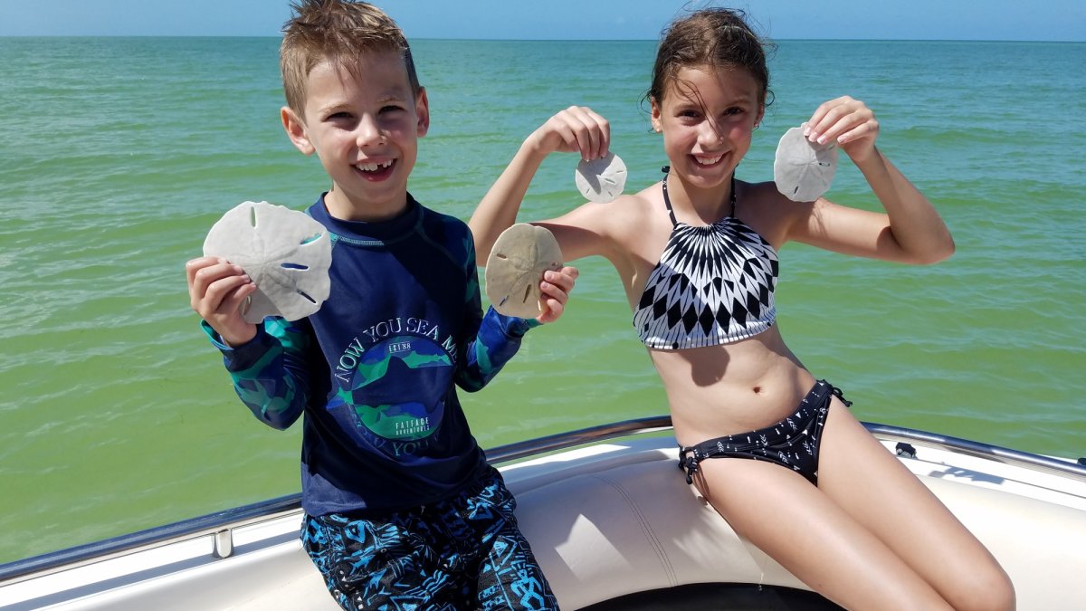 Kids love finding sand dollars!