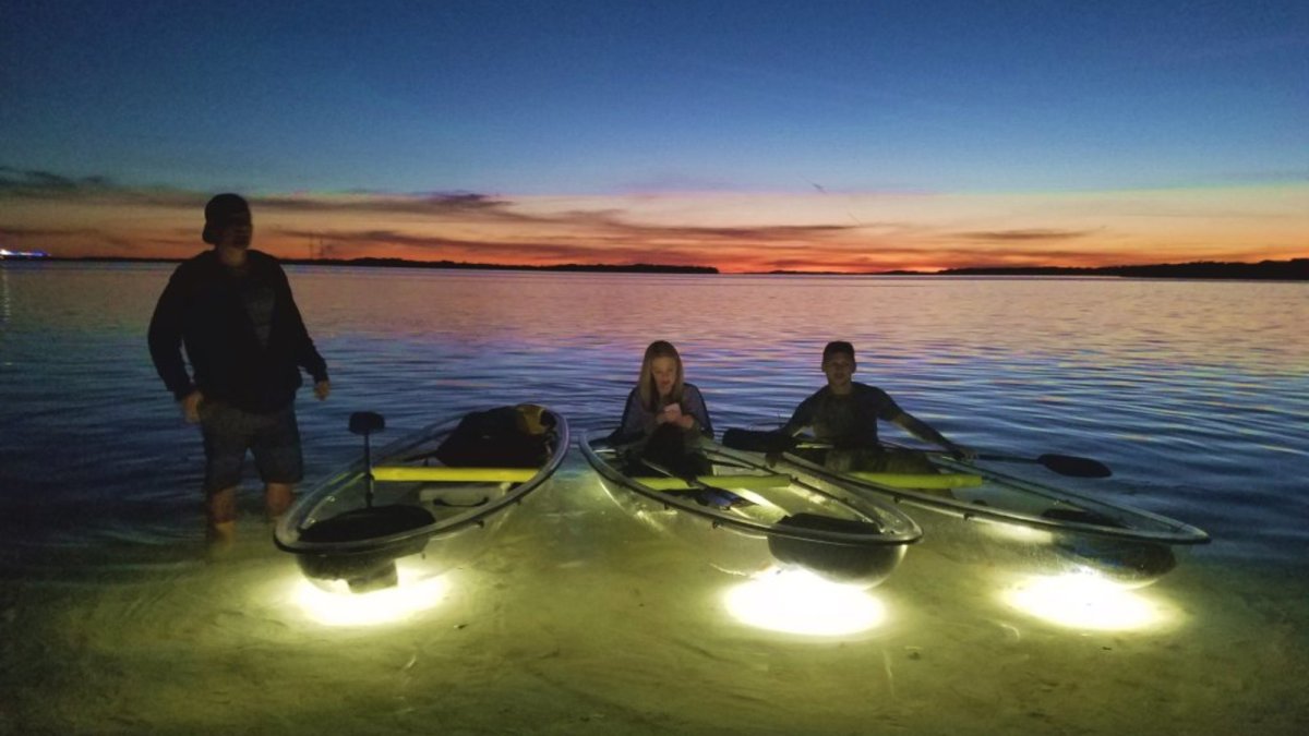 Arriving in our clear kayaks after sunset tour with the lights on.