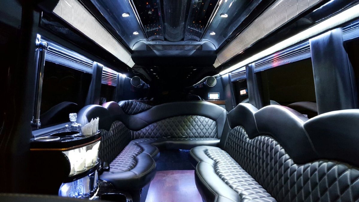 12 Passenger Sprinter Limo Coach