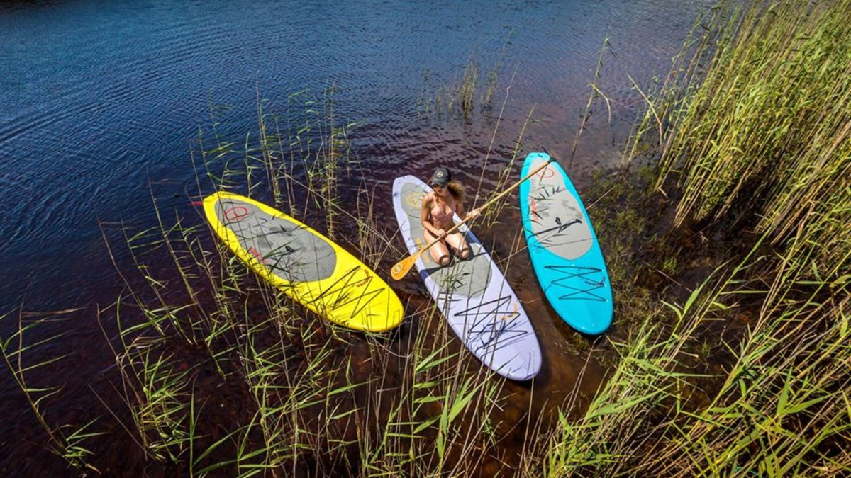 Tampa - St Pete Beach - Clearwater Beach Stand Up Paddle Board Rentals