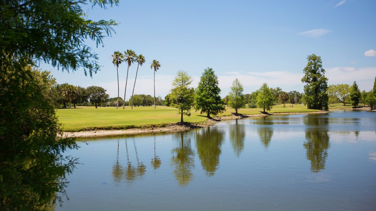 Cypress Links