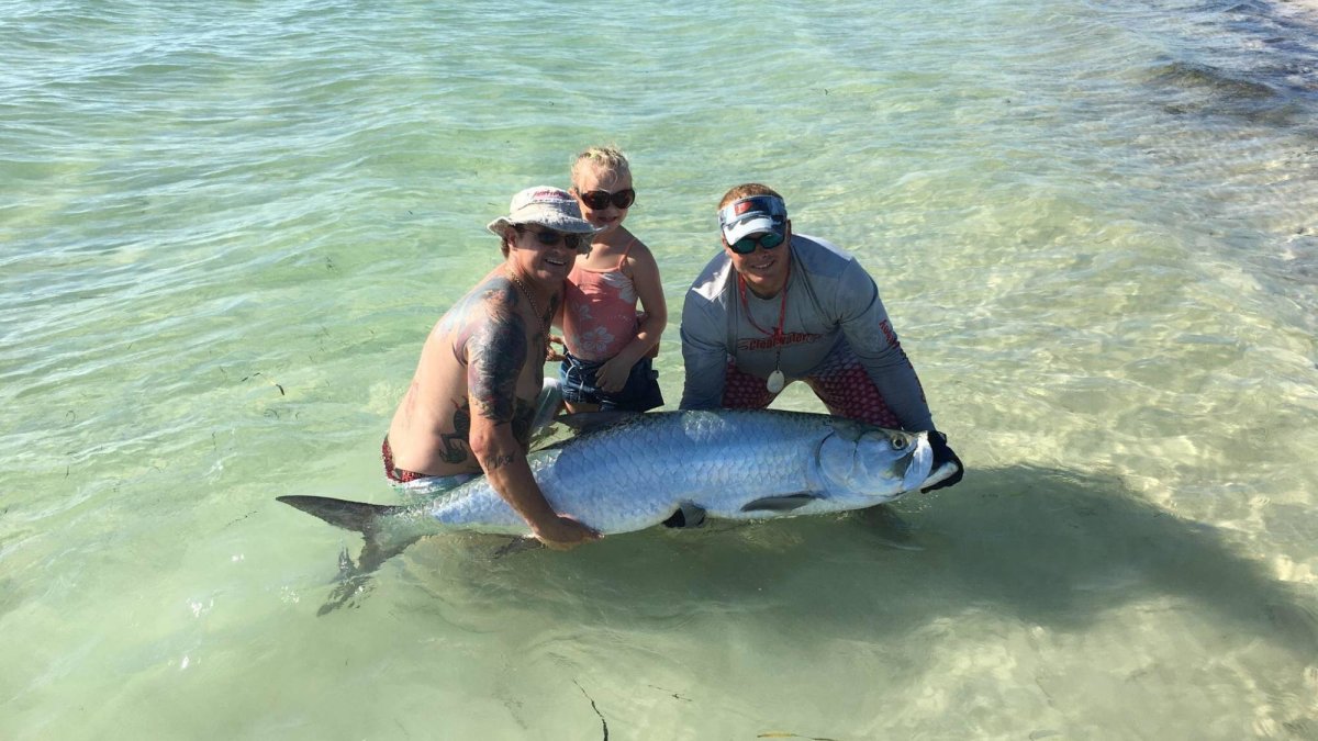 Tarpon Fishing Clearwater Beach