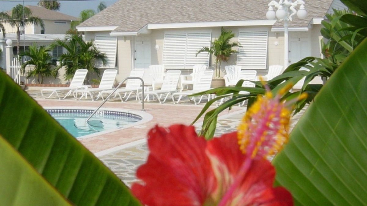 Private pool area