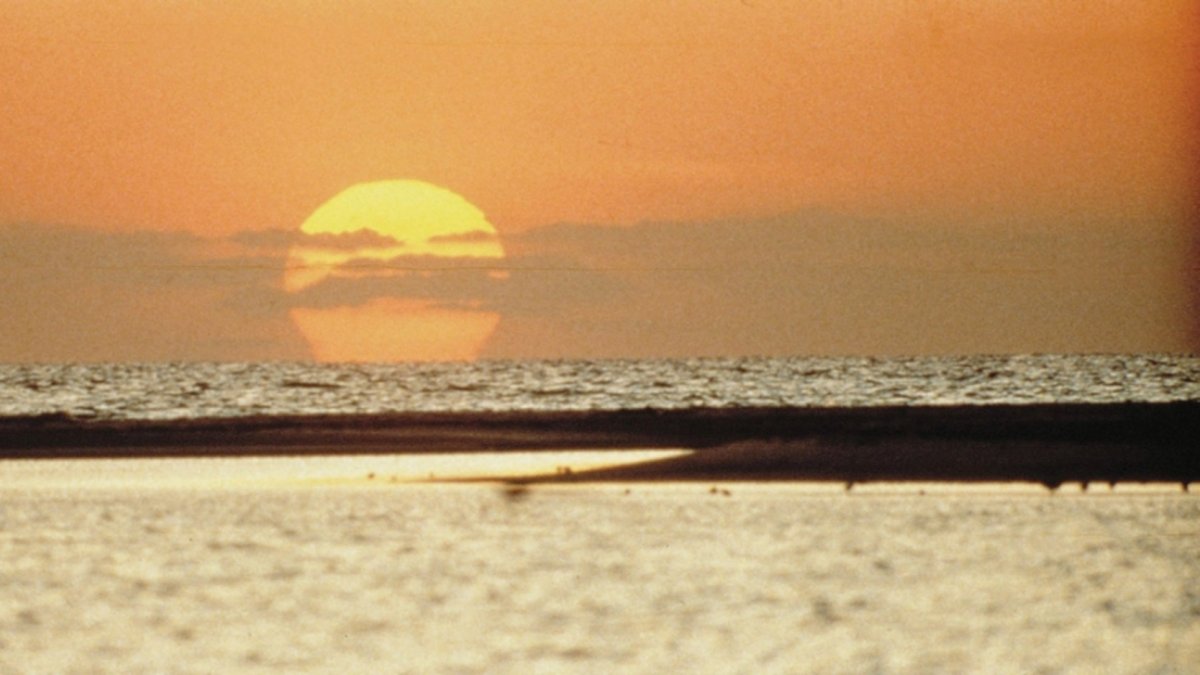 Stunning sunset at Clearwater Beach