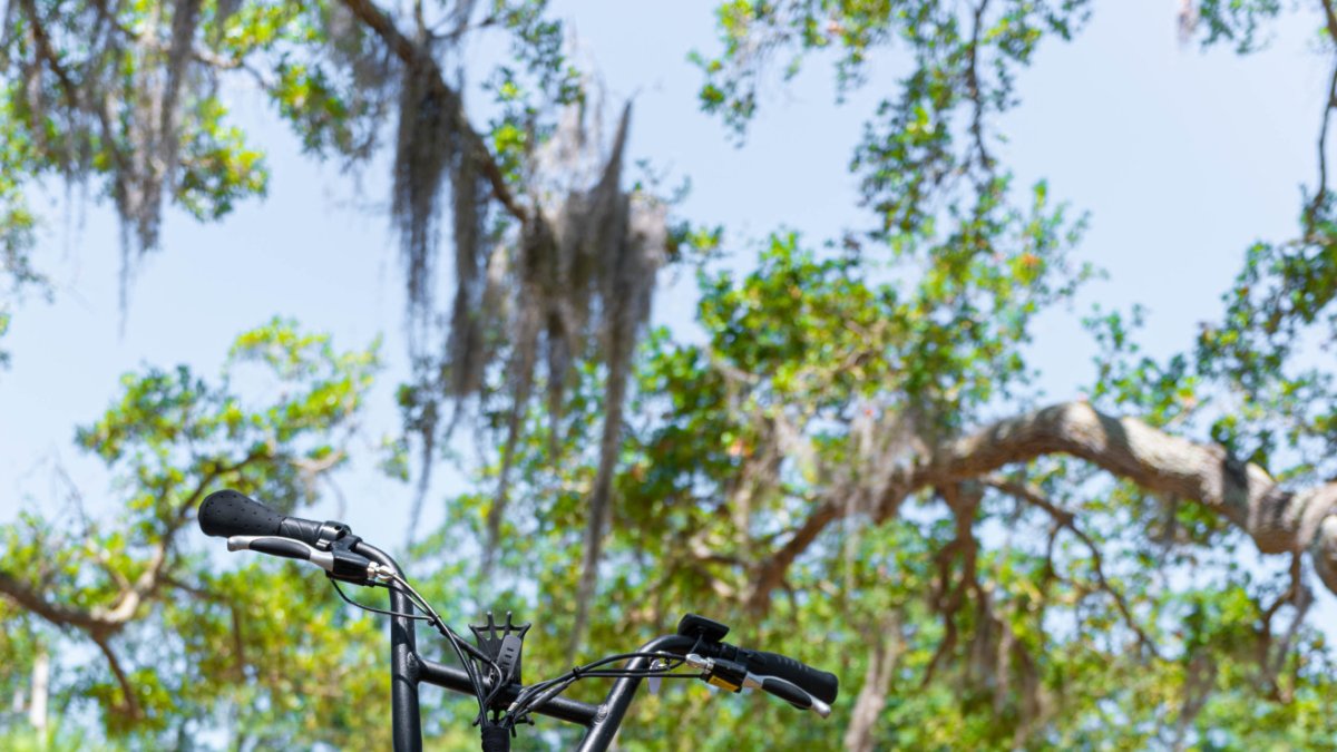 Bay E-Bikes