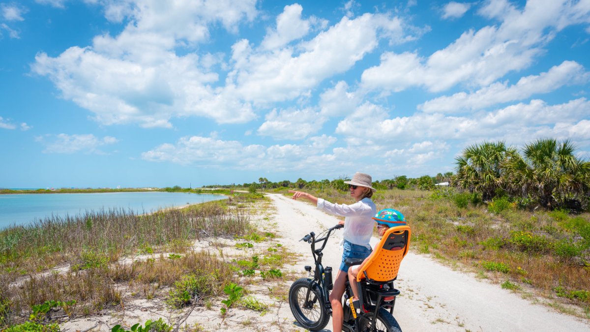 Bay E-Bikes
