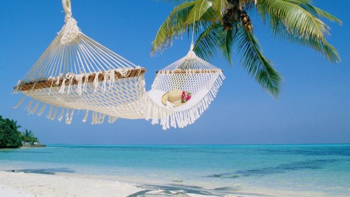 Relax in a beachside hammock