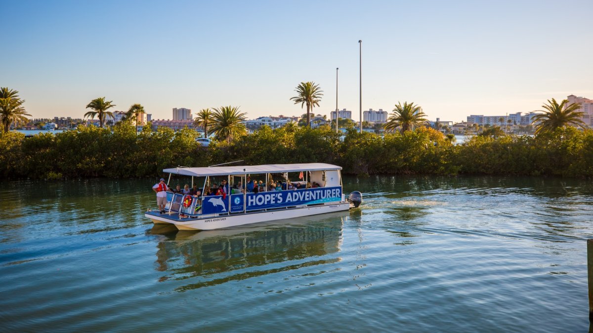 Tropical Family Cruise