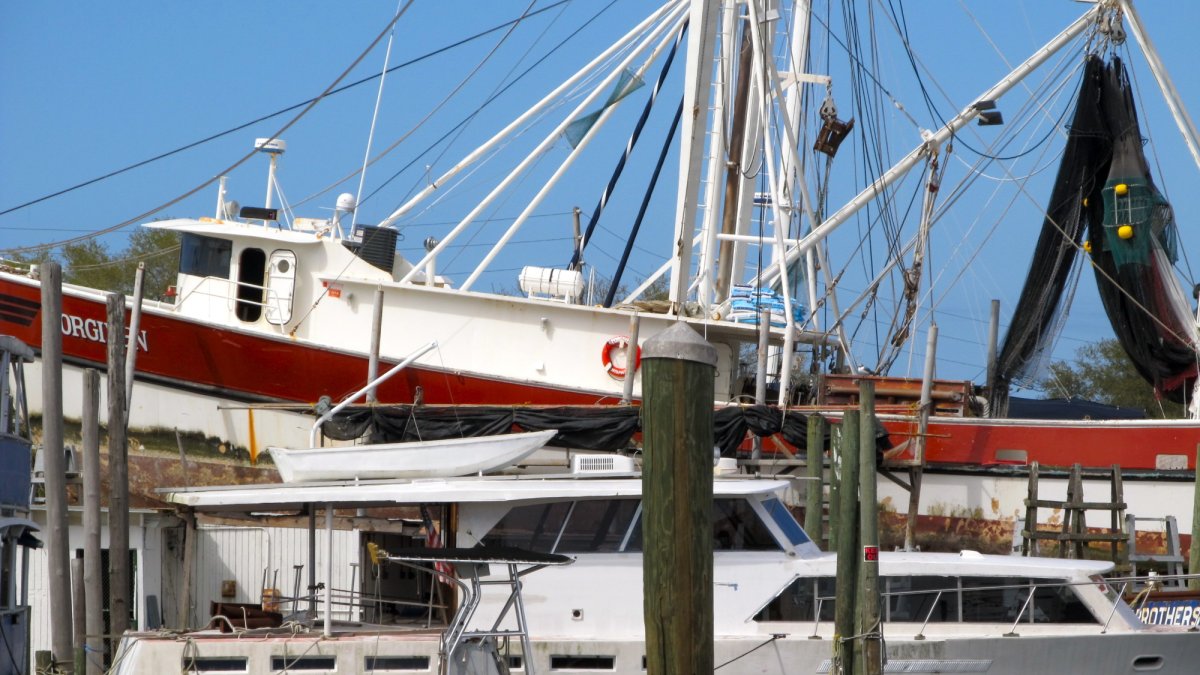 The Sponge Docks area is like a floating boat museum.