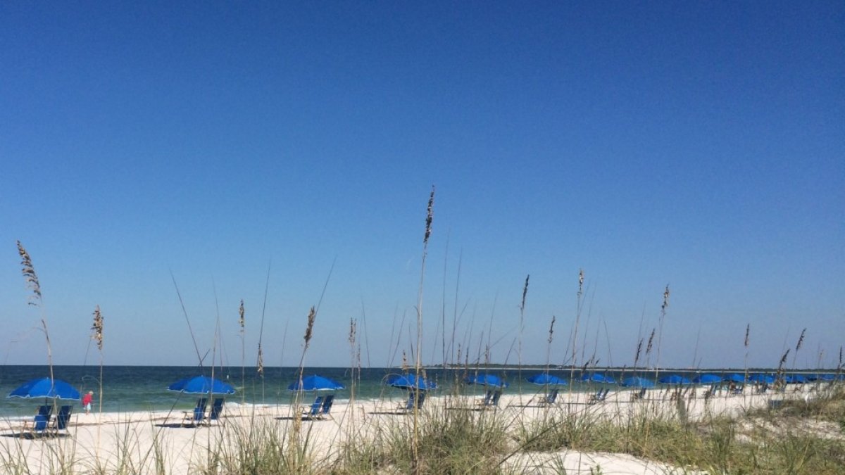 Caladesi Island was named America's #1 Beach in 2008