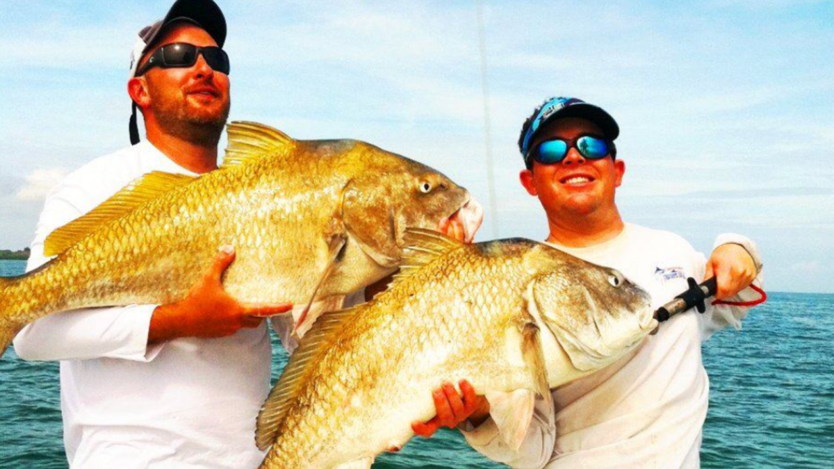 Black Drum fishing off St Pete Beach