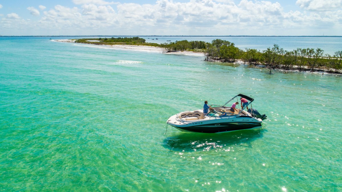 Paradise on our barrier islands!