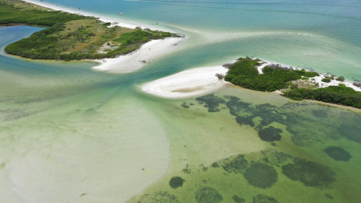 Shell Key Preserve