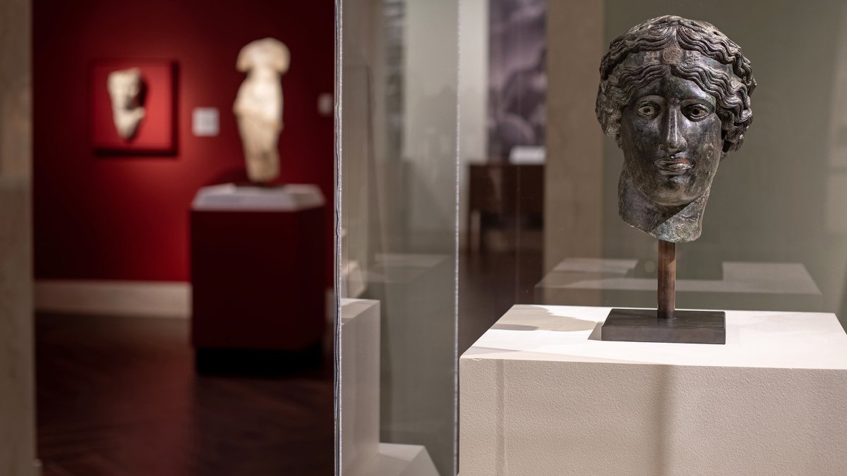 Dionysus Sculpture in Ancient Gallery