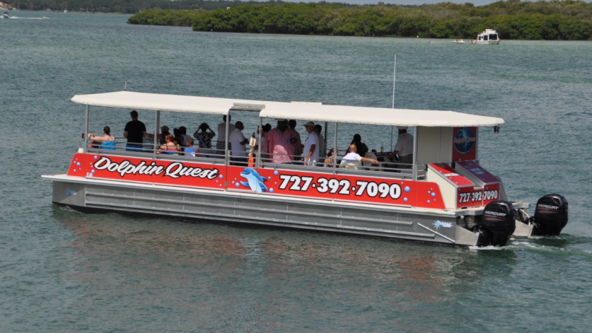 Dolphin Quest