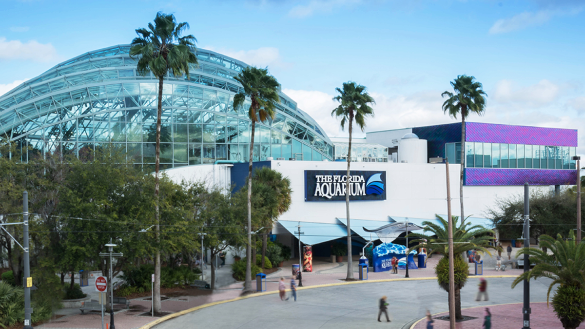 The Florida Aquarium