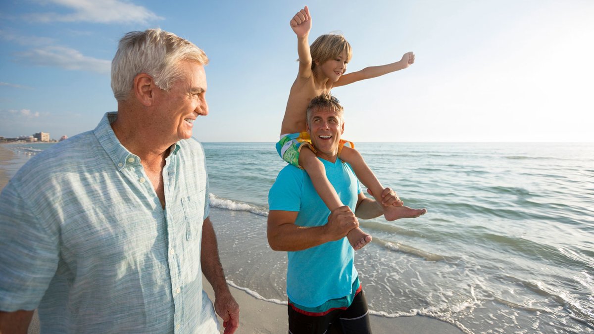 Explore the shore on a guided beach walk