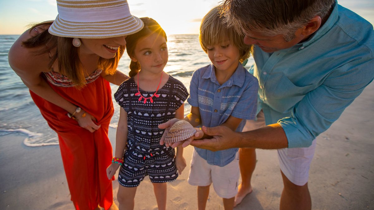 Explore the shore on St. Pete Beach