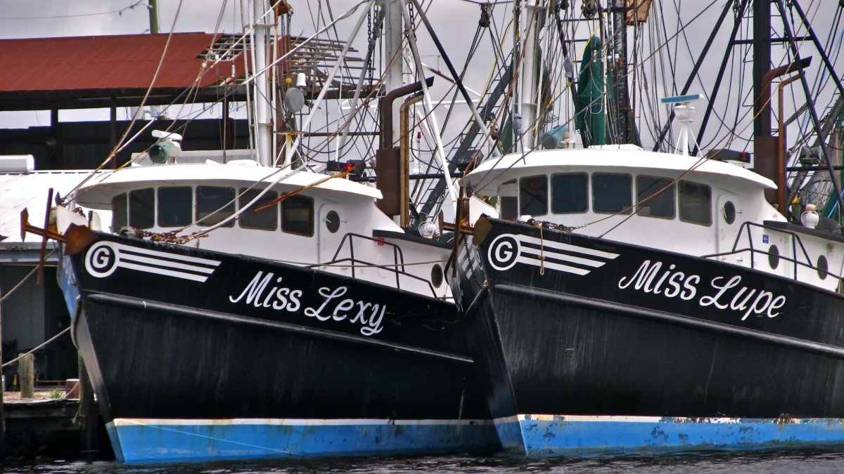 The Sponge Docks is a working seaport, restaurant & shopping district.