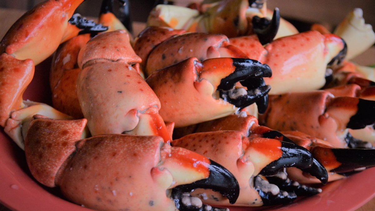 Fresh Florida Stone Crab