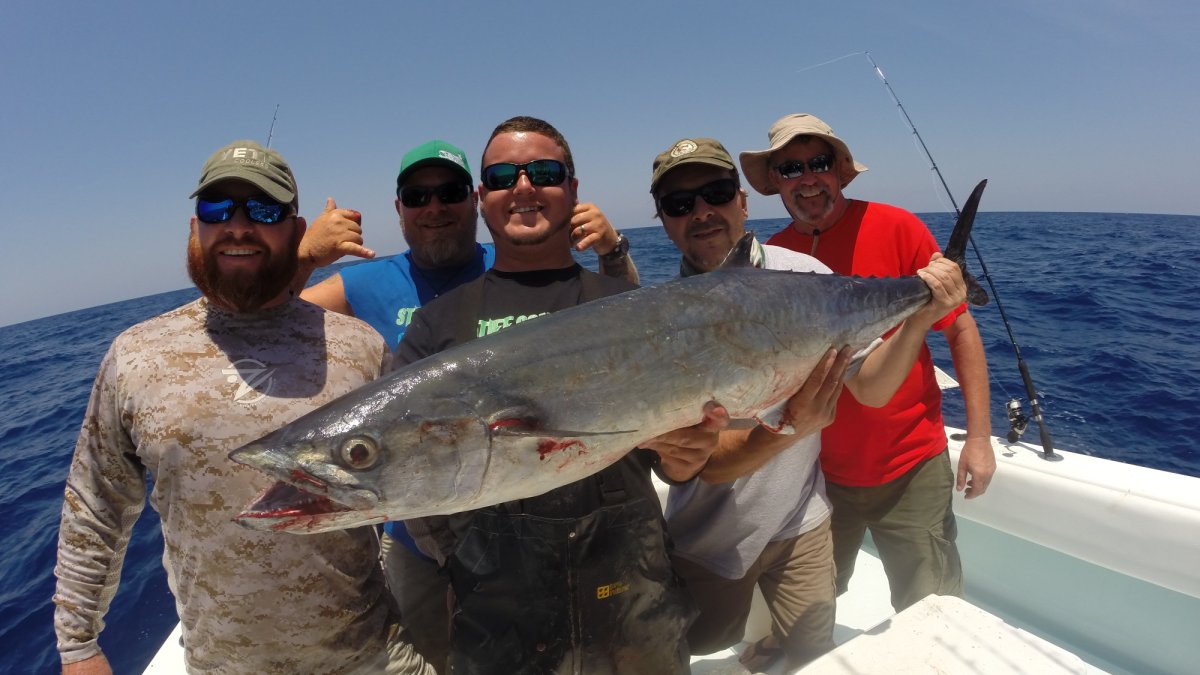 Kingfish in the Spring @ IslandLure fishing adventures