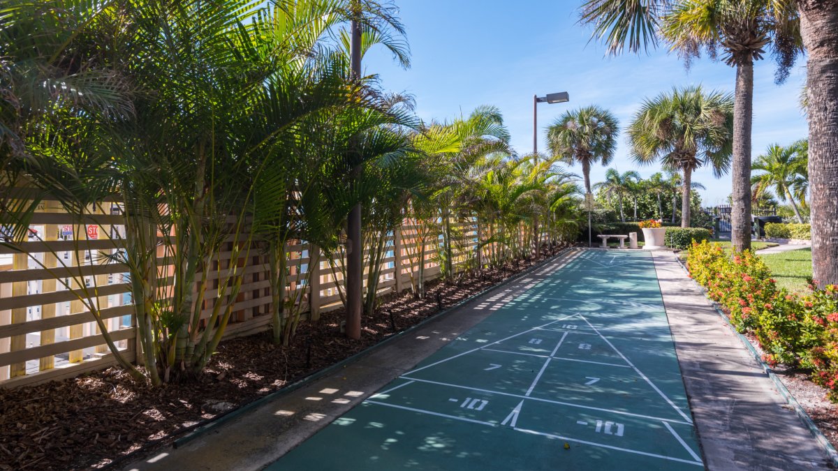 shuffleboard court